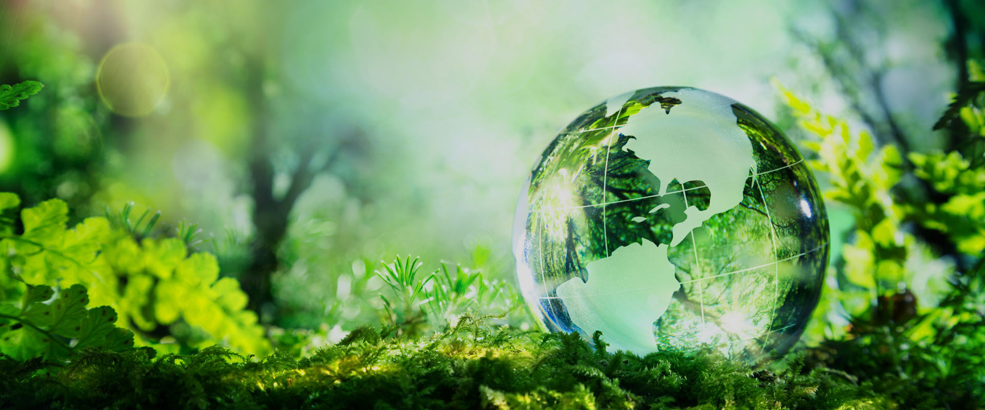 Çevre Yönetiminde Bir Kariyer Düşünmeniz İçin 6 Harika Neden! 1