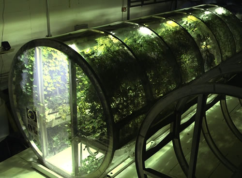 Biyosistem Mühendisliği Mezunu Ne İş Yapar? Nasıl Olunur? Biyosistem Mühendisliği Olan Üniversiteler! 5