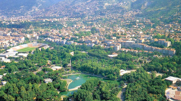 bursa