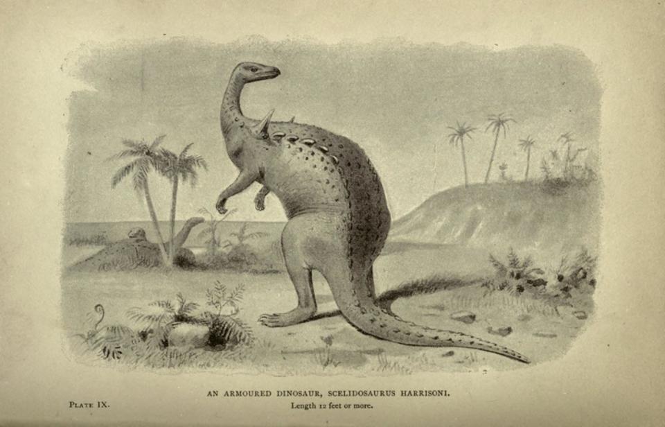 150 Yıl Sonra Dinozor Araştırması Tamamlandı!