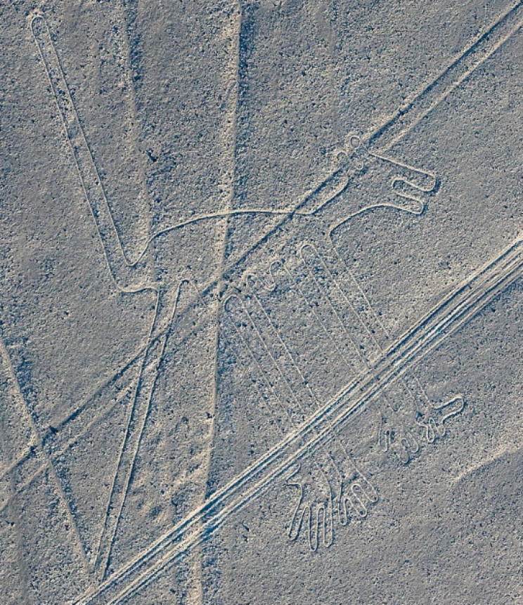 nazca çizgileri