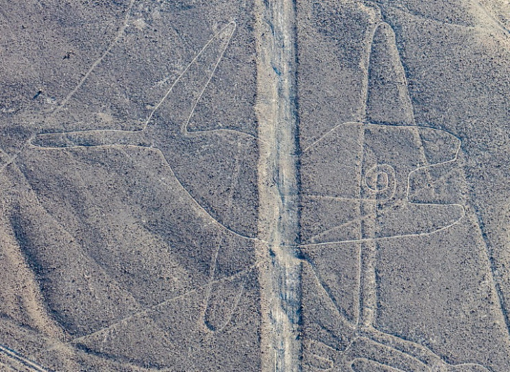 nazca çizgileri balina