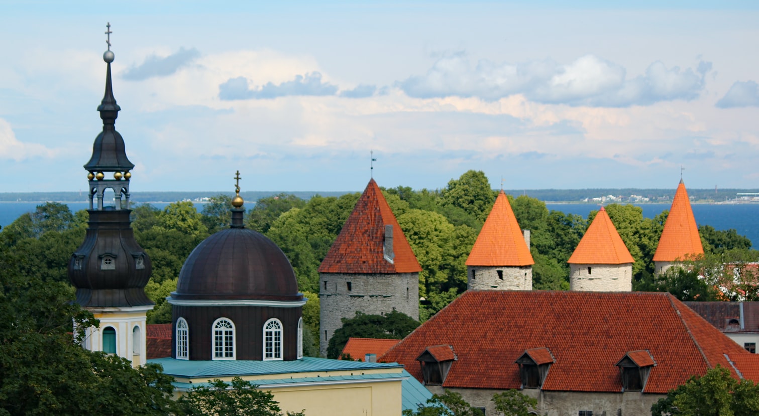e-Estonya: Dünyanın En Gelişmiş Dijital Topluluğu